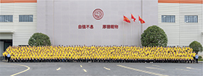 团队风采4