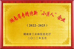 小巨人企业