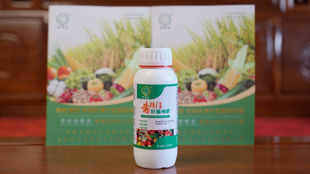 揭秘粒粒饱“靠得住”系列产品