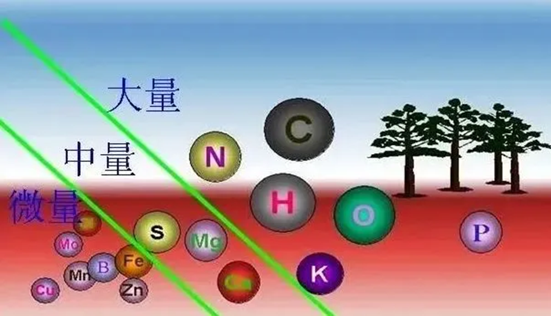 叶面肥四大类，哪类增产效果最好？