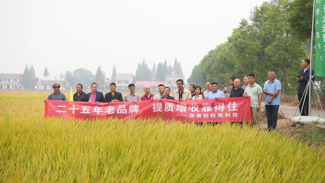 益阳沅江站丨观摩取“真经”，稳粮增收从选好微肥开始！