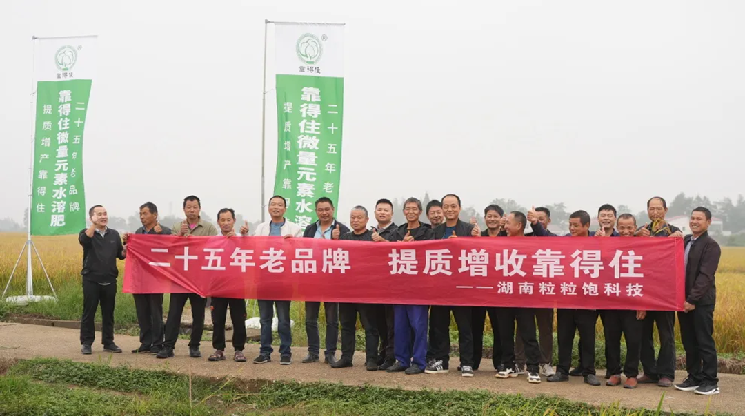 益阳赫山站丨湖南粒粒饱农业观摩会直击，聚焦水稻生长，探索增产秘籍！