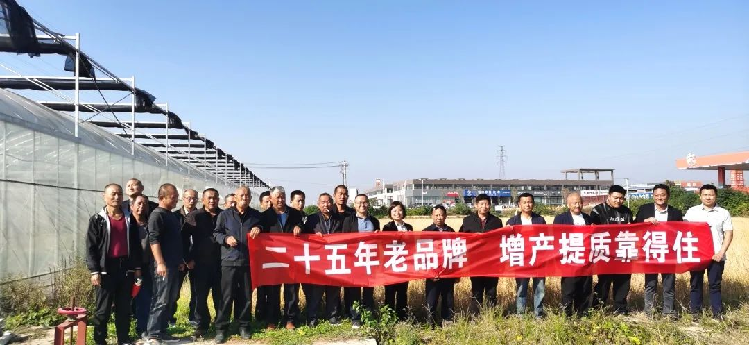 岳阳华容站丨丰收赞歌，水稻提质增产关键技术在观摩中学习交流