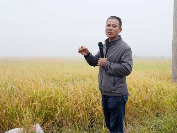 益阳大通湖种植大户赵奇志双重发力赢丰收