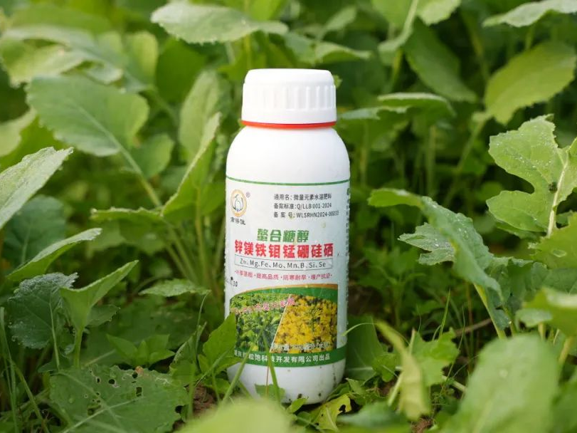   冬油菜防低温冻害技术措施 
