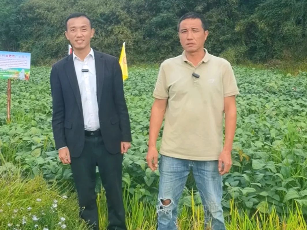 毛豆不难种，高产不简单，看看江西吉安这位种植大户怎么做的？