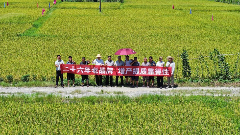 走进产粮大县娄底新化，观摩“靠得住”叶面肥如何精准发力！
