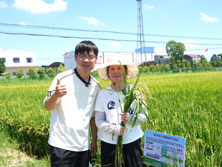 800亩稻田+3万只鸭子，“靠得住”助力常德安乡“稻鸭共生”模式再升级