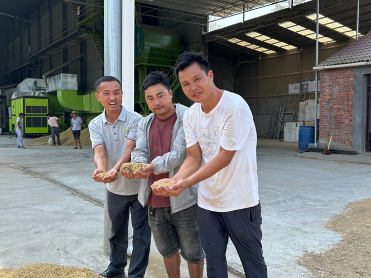 这个是不是江西地区早稻单产王？