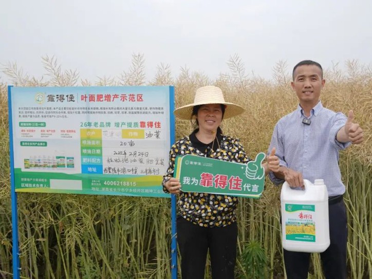 种油菜想多赚钱？这样追肥增产又提质