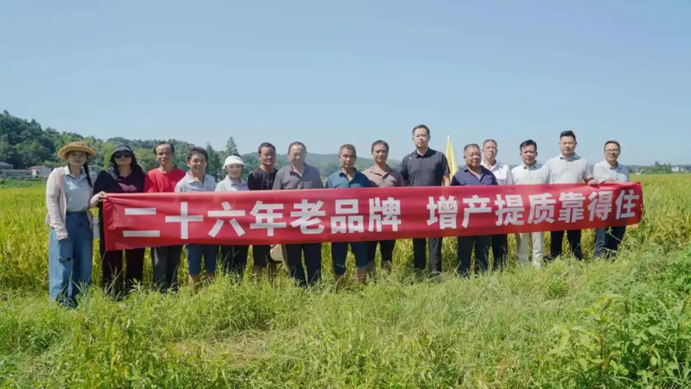 湖南宁乡站丨技术“剖细节”，湖南粒粒饱水稻示范田观摩会成功举办