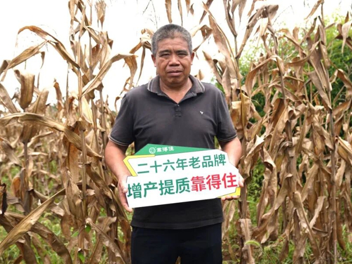 同样种玉米，差别咋这么大？