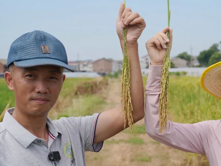 从油菜田到再生稻田，黄总为何独爱“靠得住”叶面肥？