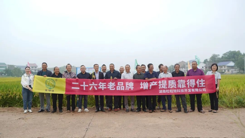 什么样的水稻叶面肥？在观摩会上让用过的都说好，没用的“追着问”