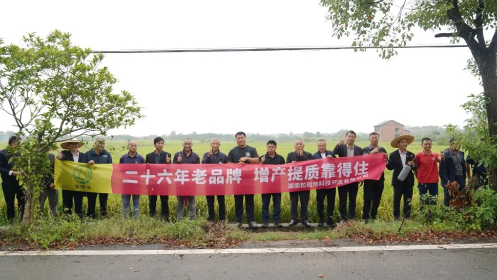 “这肥真靠谱！”醴陵观摩会200余种粮大户见证，“靠得住”叶面肥获农户集体点赞