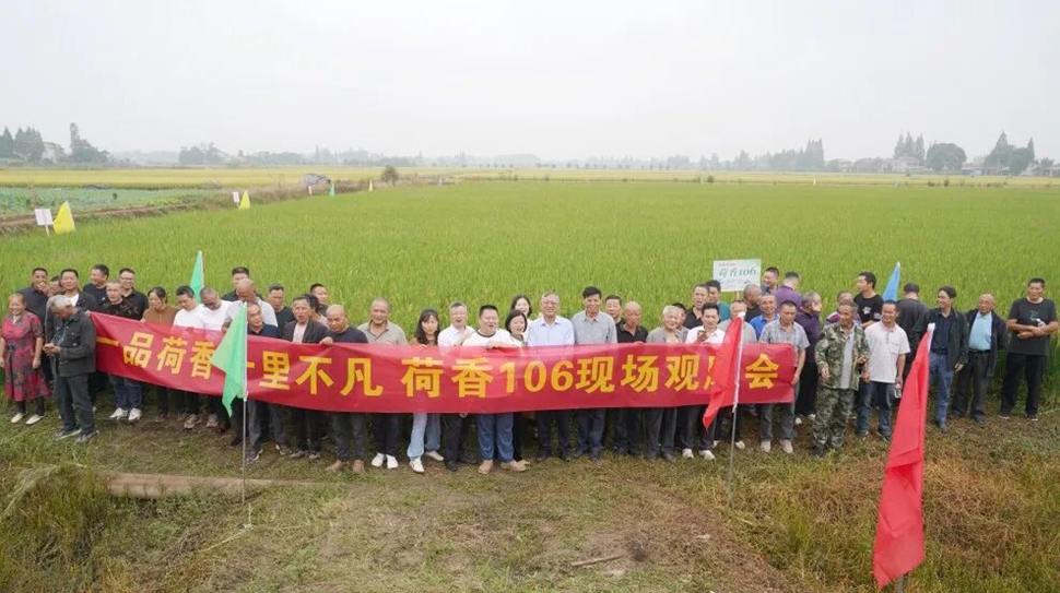 南县推广会聚势赋能，稻香虾肥共赢湘米未来