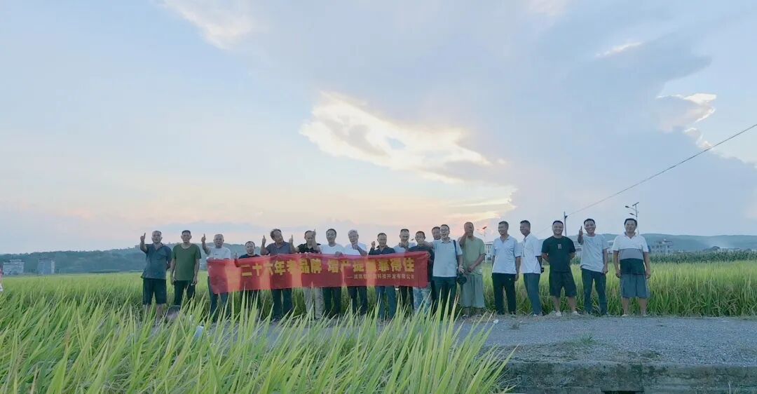 老农场里的新丰收：在郴州宜章观摩 “靠得住” 叶面肥好肥效