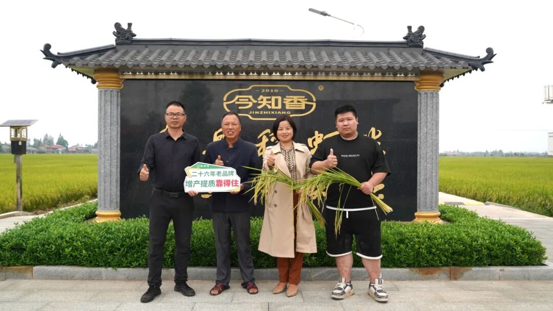 看“靠得住”如何助力南县“今知香”稻虾米品质进阶