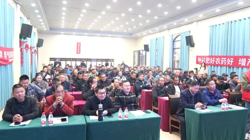 稻油双丰的科技密码：湖南粒粒饱安乡高产技术交流会共探科学种田之道