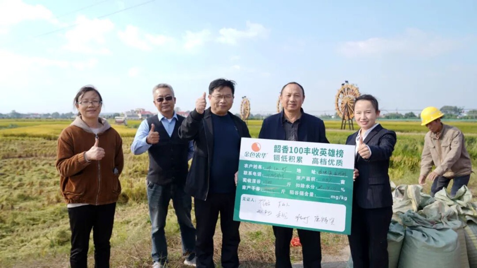 亩收入约1500元！“靠得住”叶面肥助力水稻真正实现“增产提质增收”