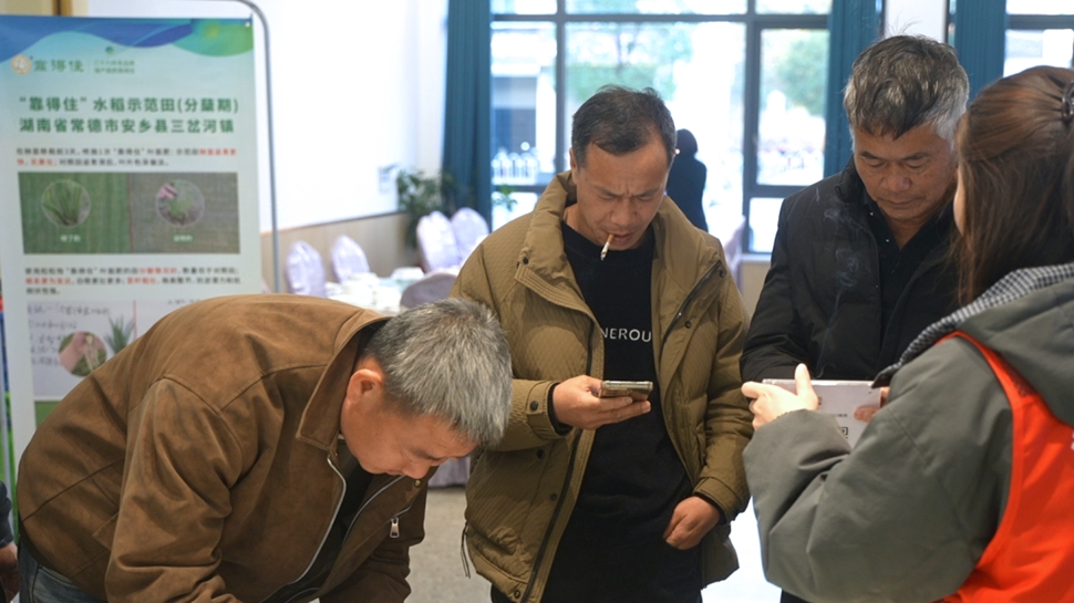 肥效好，服务更好！湖南粒粒饱把交流会开到浏阳农户身边