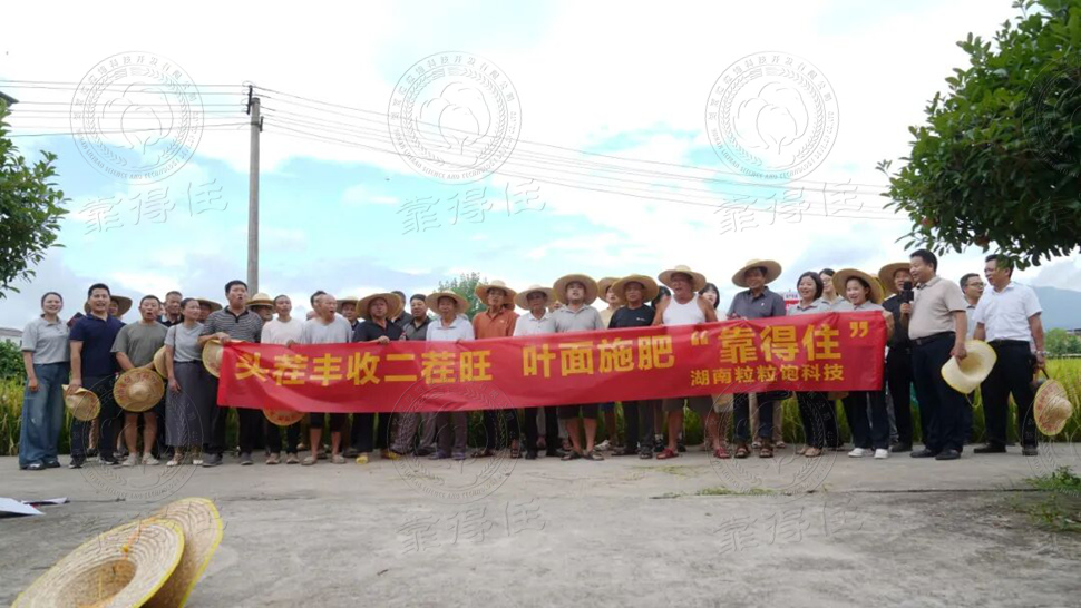 一声“靠得住”，便是最好的丰收丨2026，我们与全国种粮大户继续并肩奋斗！