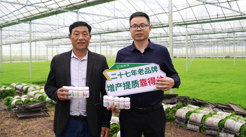 益阳种田大户亲测，“靠得住”一喷，苗壮根多不用愁！