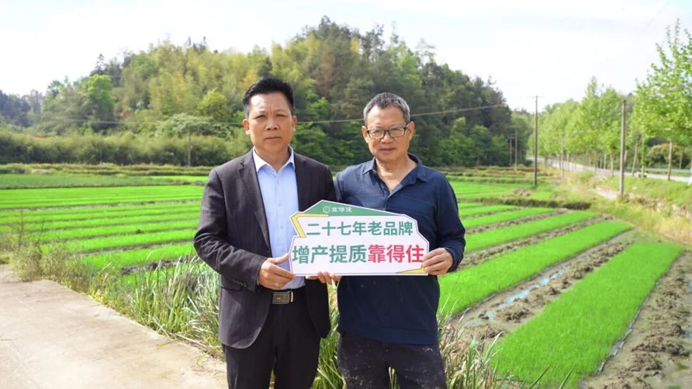 秧苗烂根发白面临绝收？湖南粒粒饱给出“解决方案”
