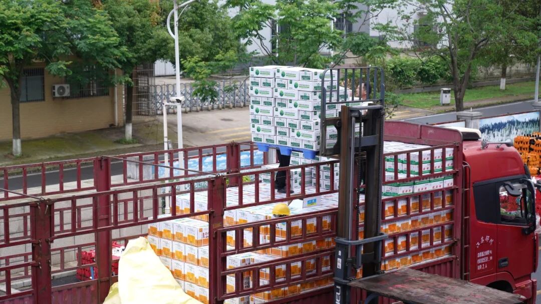 跨越 4200 公里！15万亩叶面肥奔赴新疆伊犁