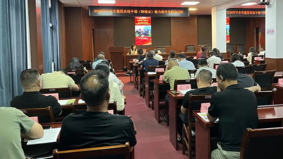 宁乡水稻单产提升分享会：聚焦施肥，服务一线农技