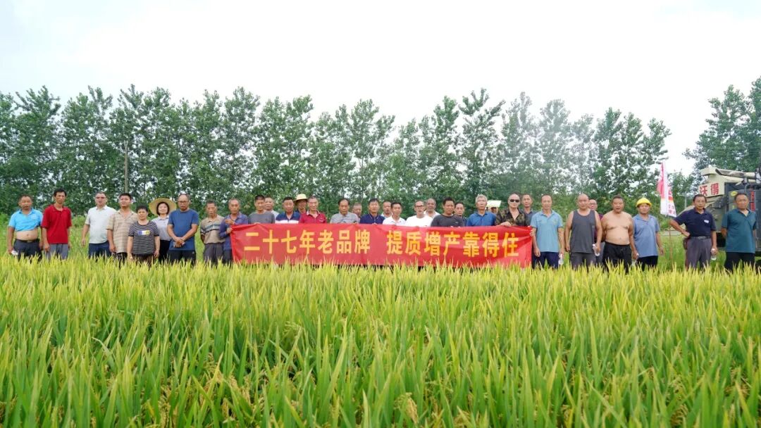 不惧盛夏热浪，安乡农户齐聚田间，亲眼见证靠得住增产实力