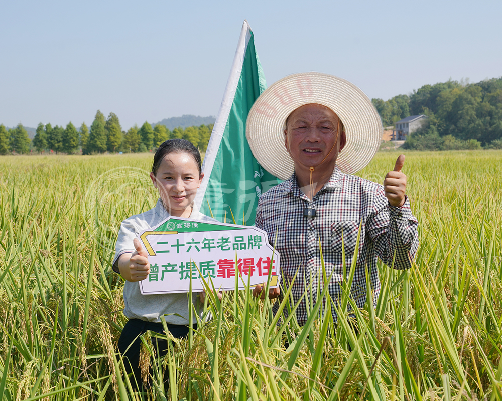 水稻叶面施肥技术要点与操作规范