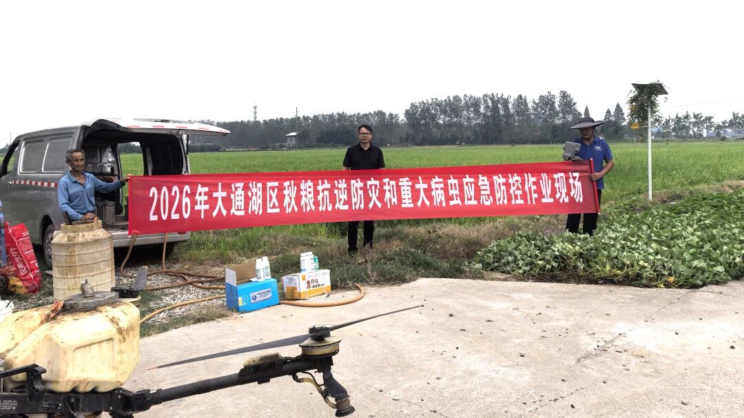 把服务送到种粮大户身边，粒粒饱全力助力秋粮抗逆防灾